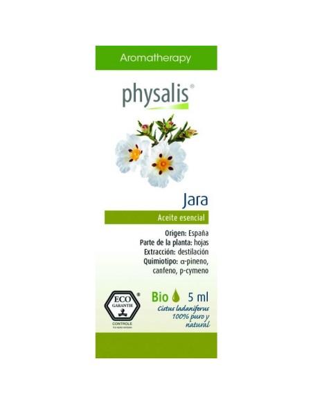 Chupis Caramelo con Palo Bio-Ft 200Uds - Dulce Natural