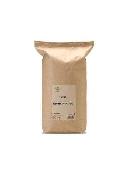 Comino Grano 1Kg. de Naturcid