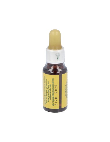 Victoria Regia Orquidea E.F.Mediterraneo 20 Ml.