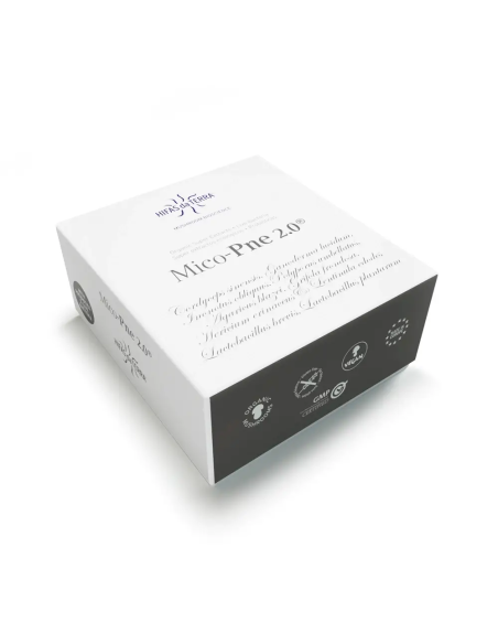 Mico-Pne 2.0 de Hifas da Terra