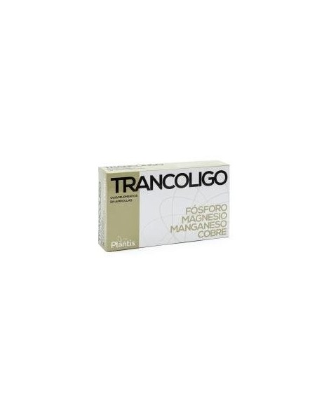Trancoligo 20 Amp. de Artesania