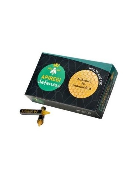 Apiregi Defensas 20Viales de Artesania