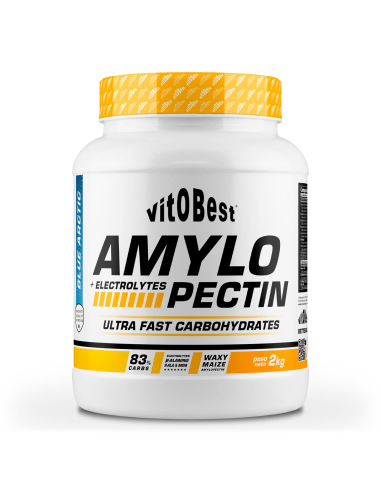 Amylopectin + Electrolytes 2 Kg  Blue Artic de Vit.O.Best