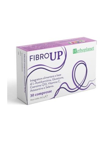 Fibro Up 30 Comp de Herboplanet