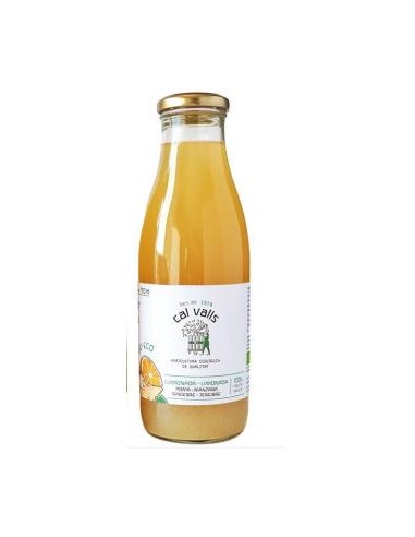 Limonada Con Manzana-Jengibre Sin Azucar Añadido 750 Ml Eco de Cal Valls