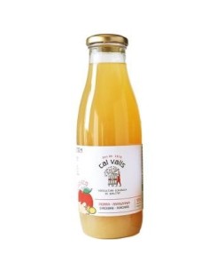 Zumo De Manzana Con Jengibre 750 Ml Eco de Cal Valls