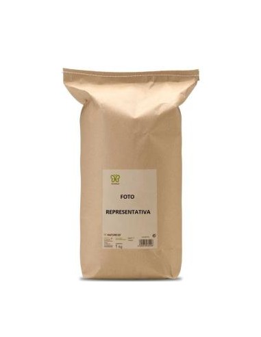 Boldo Cortado 1 Kg. de Naturcid