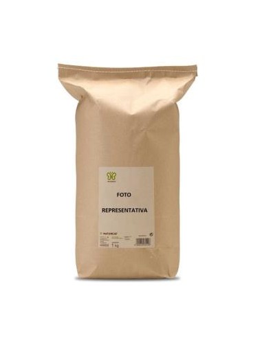 Ginkgo Biloba 1 Kg. de Naturcid