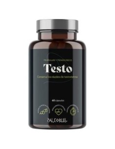 Testo 60Cap. de Paleobull