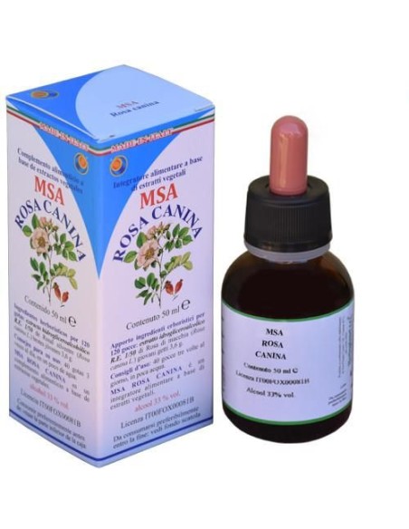 MSA Rosa Canina