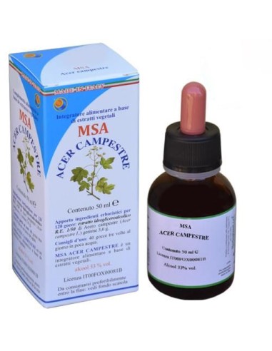 MSA Acer Campestre
