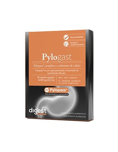 Pylogast