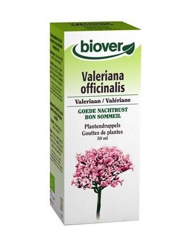 Valeriana officinalis