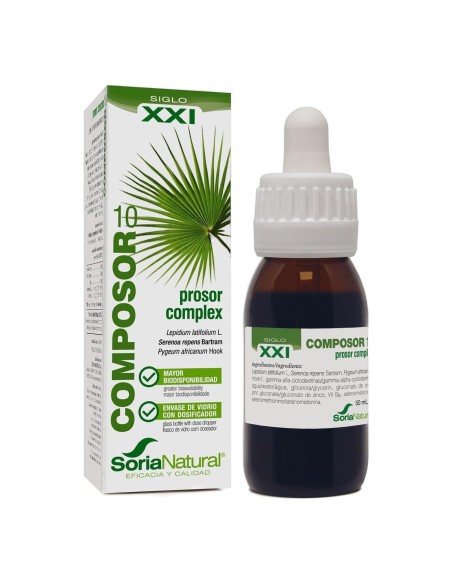 Composor 10 - Prosor Complex XXI