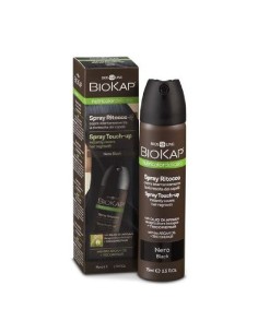Spray Touchp-Up Negro