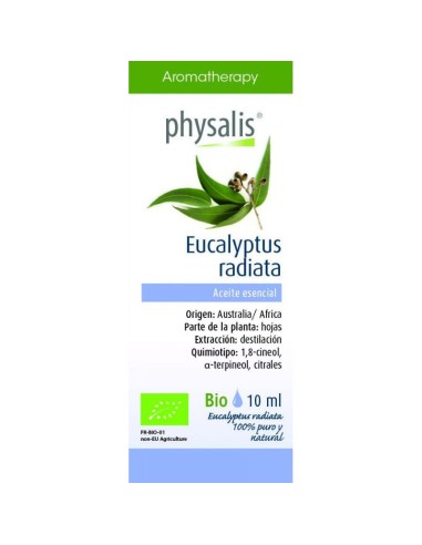 Aceite Esencial Eucalipto Radiata
