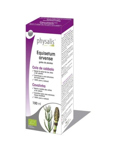 Tintura Equisetum Arvense (Cola de Caballo)