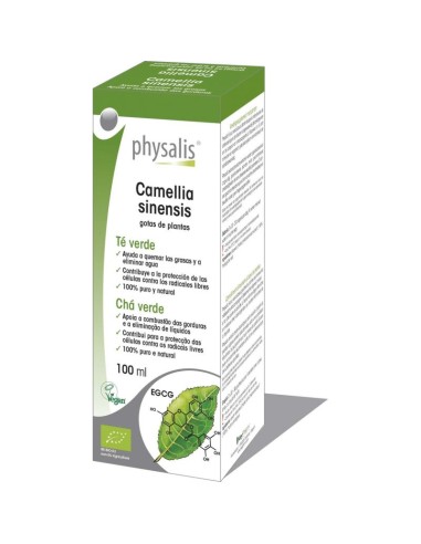 Tintura Camellia sinensis (Té Verde)