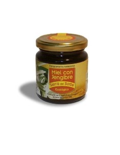 Miel Ecológica con Jengibre