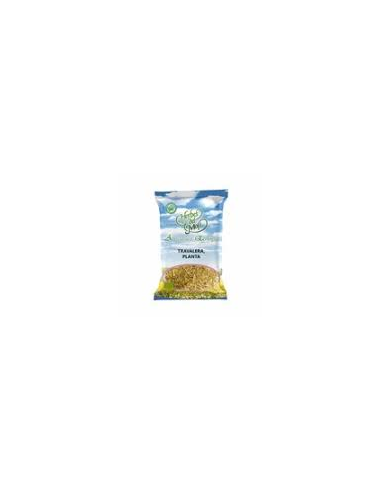 Olivo Hoja Bolsa 40 G de Artesania