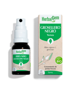 Grosellero Negro Bio Spray 15 Ml de Herbalgem
