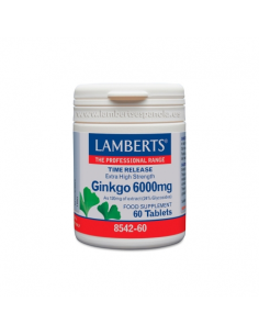 Pack 2 Uds. Ginkgo Biloba 6000 mg de Lamberts