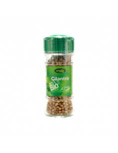 Pack 6 Uds. Cilantro Bio 20 g  de Artemis Bio