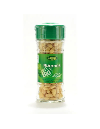 Pack 6 Piñones Bio 50 g Artemis Bio  Natural y Saludable