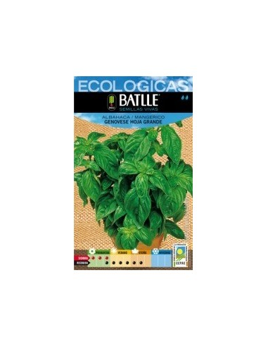 Semillas Albahaca Genovese Hoja Grande Batlle  Cultiva Fácil