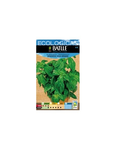 Semillas Albahaca Genovese Hoja Grande Batlle  Cultiva Fácil