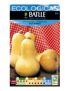 Semillas Calabaza Butternut Batlle  Calidad y Sabor Garantizados