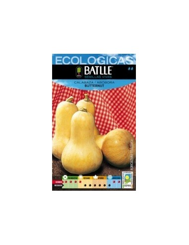 Semillas Calabaza Butternut Batlle  Calidad y Sabor Garantizados