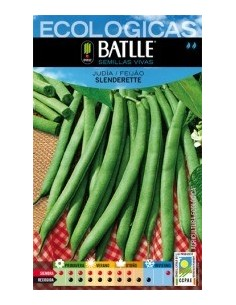 Semillas Judía Slenderette Batlle  Calidad y Rendimiento Top