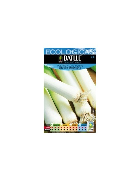 Semillas Puerro Grueso Carentan Batlle  Calidad y Rendimiento