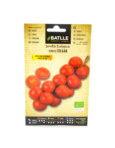 Semillas Tomate de Colgar Domingo de Batlle  Calidad y Sabor