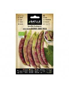 Semillas Judía Roja Batlle Buenos Aires  Calidad y Rendimiento