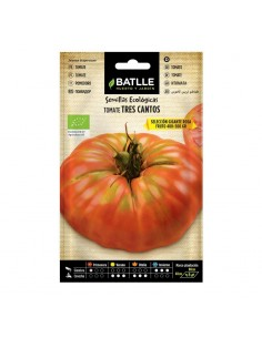 Semillas Tomate Tres Cantos de Batlle  Calidad y Rendimiento