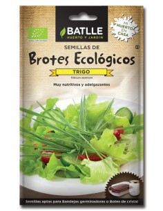 Brotes de trigo para germinar | Sobres Batlle calidad natural