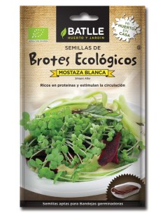 Brotes de Mostaza Blanca Batlle para Germinar  Calidad Top