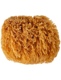 Esponjas Menstruales Naturales Croll & Denecke 2 uds