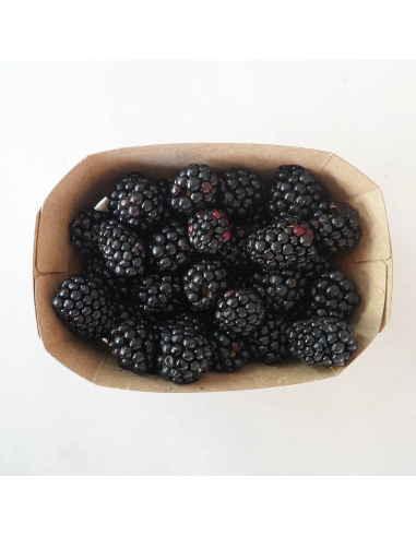 Moras Ecológicas 400G Sin Pesticidas | Comptoirs & Compagnies