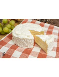 Queso camembert