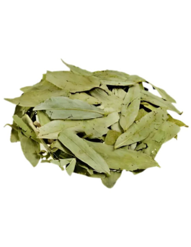 Sen Hojas de Pinisan Granel