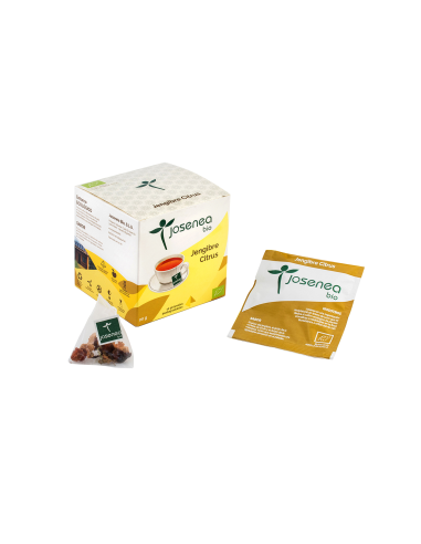 Jengibre Citrus Bio Josenea 20 Pirámides Biobox Natural