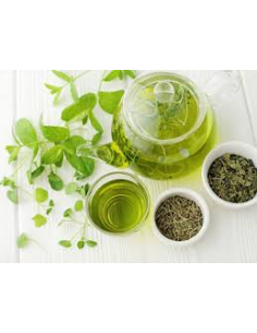 Te Buenas Noches Bote 12 Piram. de Farma Te