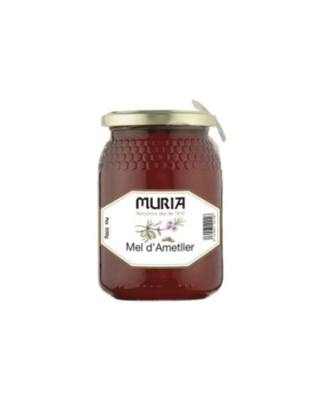 Miel de Almendro Muria 1 Kg | Dulzura Natural y Pura