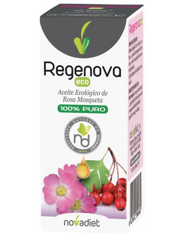 Arnidol Stick 15g + Hucha Regalo – Alivio Rápido y Seguro