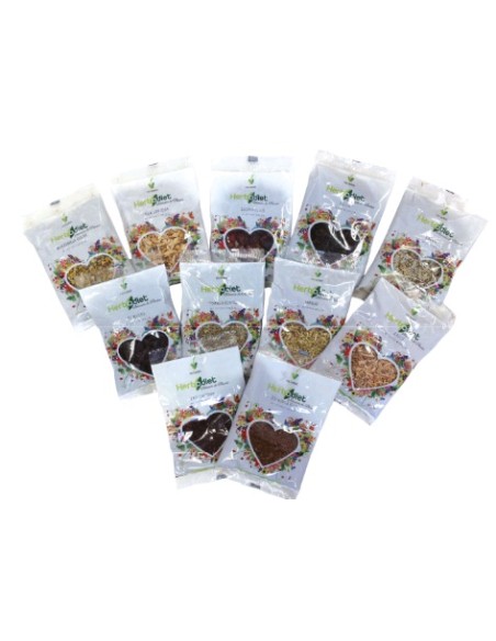 Artemisbio Green Tea Pyramid Bags 15 x 1.5g - Pure Flavor