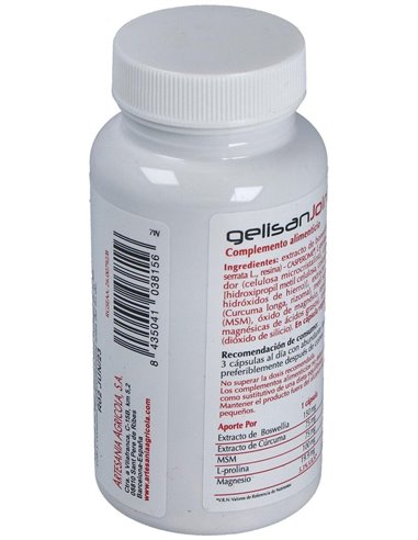 Gelisan Joint 60Cap. de Artesania