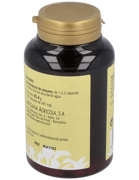 Bilobis Ginkgo Plantis 120 Cap de Artesania